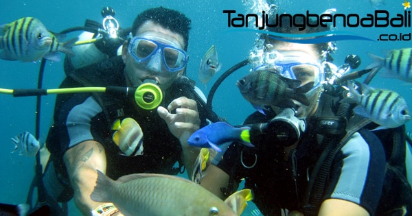 Scuba Diving Tanjung Benoa Bali
